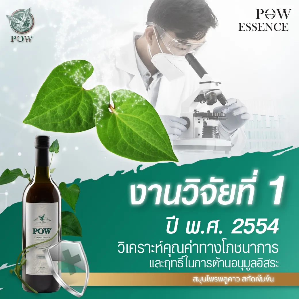 POW งานวิจัยพลูคาว