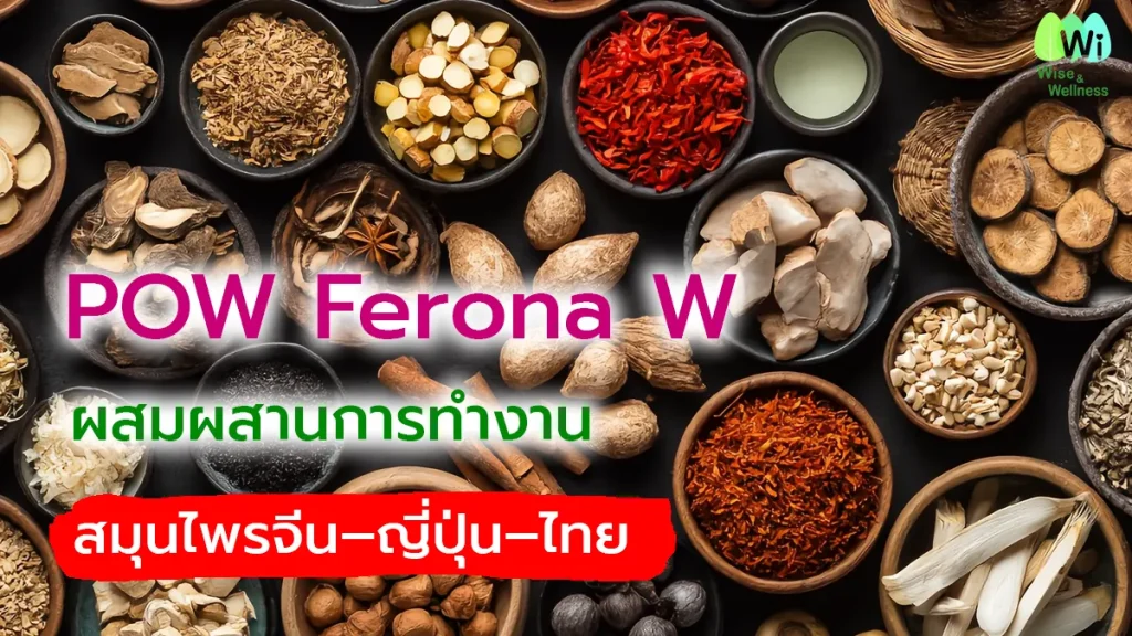 chinese-japanese-thai-herbs-ferona-w