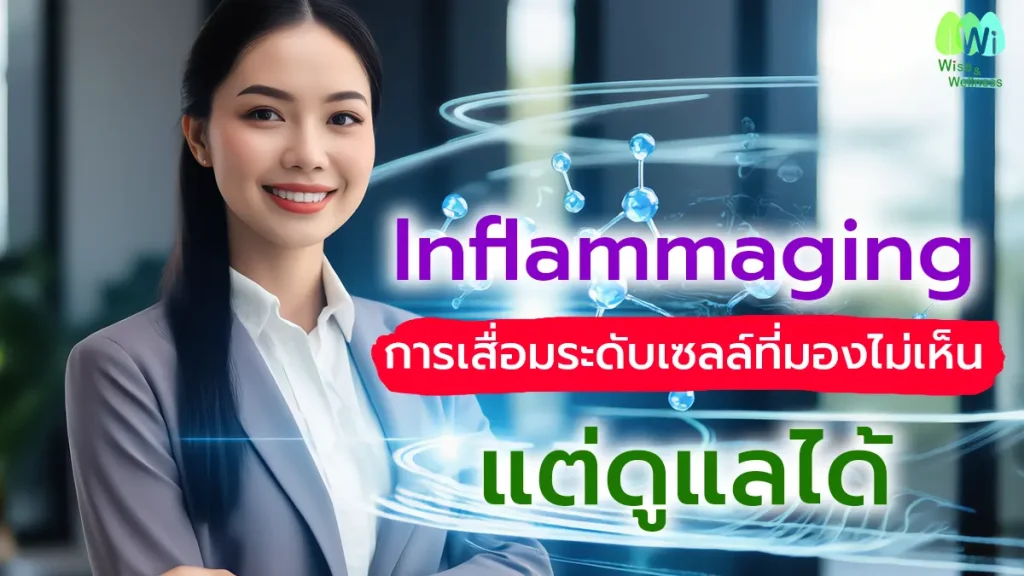 inflammaging-invisible-cellular-degeneration