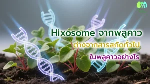 different-hixosome-extracts