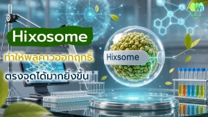 hixosome-makes-more-effective